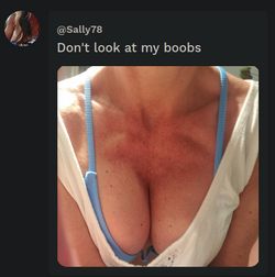 2023-01-12_03-05.png