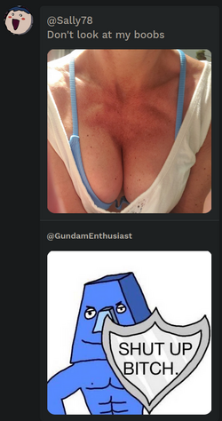 2023-01-12_03-06.png