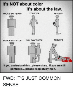 1673526244306.png