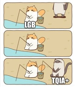 1673523529663.jpeg