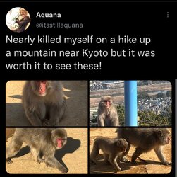 Screenshot_20230113-053823_Twitter.jpg