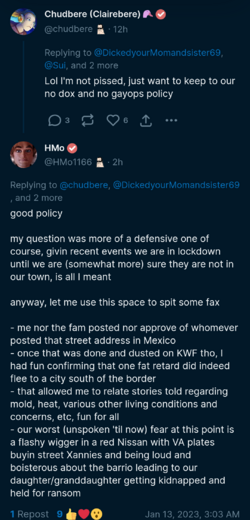 chrome_screenshot_13 Jan 2023 05_45_03 GMT+11_00.png