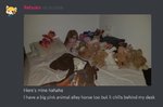 E6476F5F-5F0A-4F78-B775-B677E2F3B3E9.jpeg