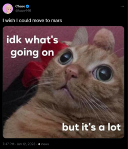 1673570932254.png