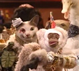 i have 8 watches tv funhouses.jpg