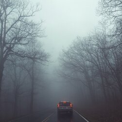 56f9e0f7bda4202f1fe5890c.jpg