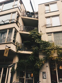 5ddd0297a537d558592e9708.jpg