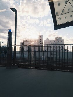 5cff29ef9b391a7431bcdd18.jpg