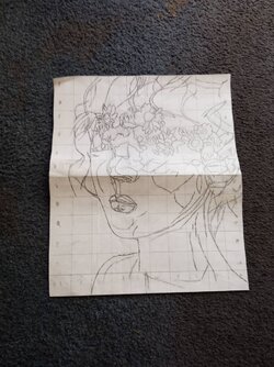 dp2.jpg