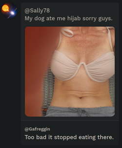 2023-01-13_17-18.png