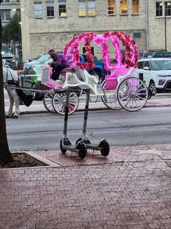 20221011_190442.jpg