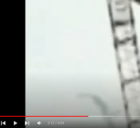 unexplainedlittleguy.png