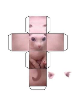 sproingle.jpg