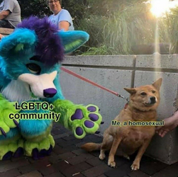 1673733304467.png