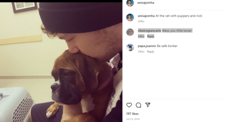 dog1.png