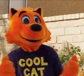 coolcat.jpg