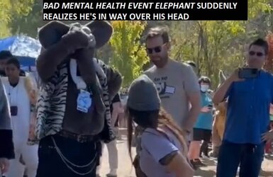 Bad Mental Health Event Elephant.jpg