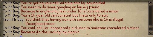 bug3.jpeg