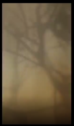 1673815059544.png