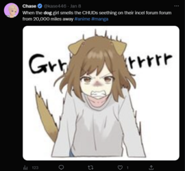 seethingonicelforum.png