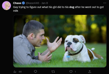 dograpeishilarious.png