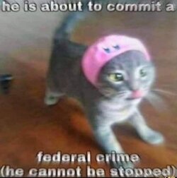 Fmg94KKacAEYBqN.jpg