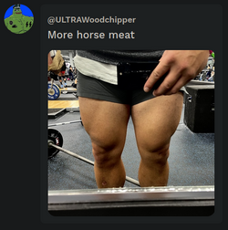 2023-01-13_20-43.png