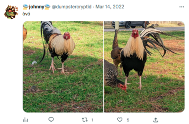 1673905472289.png