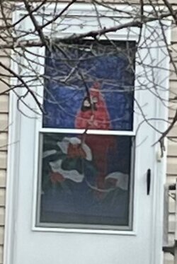door window.JPG
