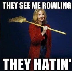 jkr They See Me Rowling.jpeg
