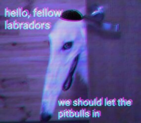 4725364F-E32A-4C0D-876F-14D8DAA41CBD.jpeg
