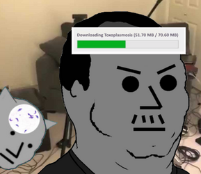 129341243113.png