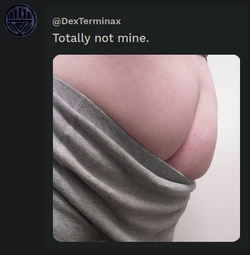 2023-01-18_23-28_1.png