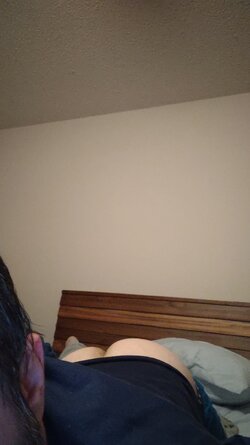 639254_ncvo7k1umagybhl.jpeg