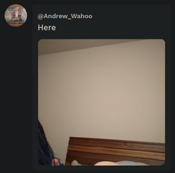 2023-01-18_23-29.png