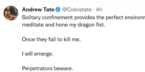 Screenshot 2023-01-20 at 02-35-28 (17) Andrew Tate (@Cobratate) _ Twitter.png