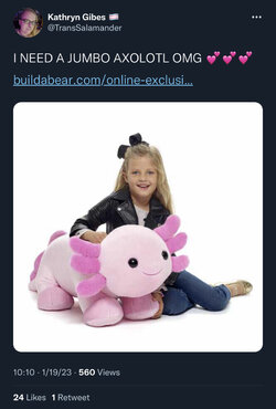 F6C9BB5C-1D65-4024-9272-EBCF79BF4419.jpeg