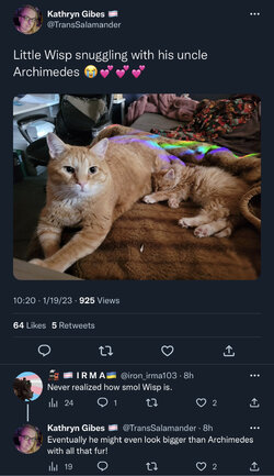 E2450B78-C283-4E09-9F7D-81617993AD1B.jpeg
