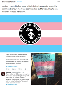 1674191228113.png