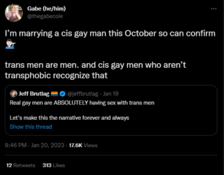 marrying a gay man.PNG