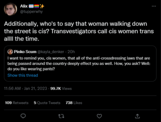 transvestigation.PNG transvestigation.PNG