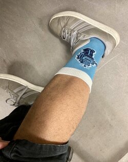 2406743_541n8h7yfo82xwx.jpeg
