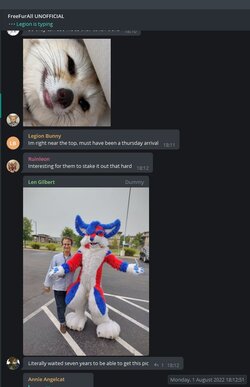 confederateflagfursuit2.jpg