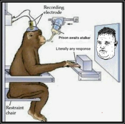 markup_1000000838.png