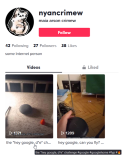 maia-arson-crimew _TikTok.png