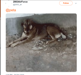 peta 1.png