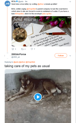 peta 2.png