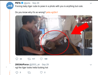 peta 3.png