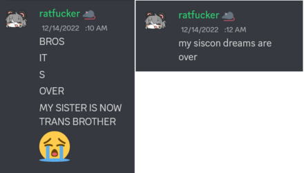 d4.png