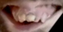A074E3C3-55F8-49CC-833A-59438563CE24.jpeg